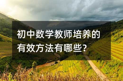 初中數學教師培養的有效方法有哪些?