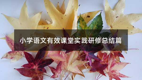 小學語文有效課堂實踐研修總結篇
