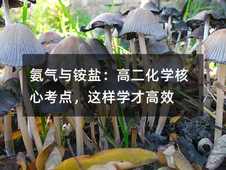 �����c�@�}���߶����W���Ŀ��c���@�ӌW�Ÿ�Ч