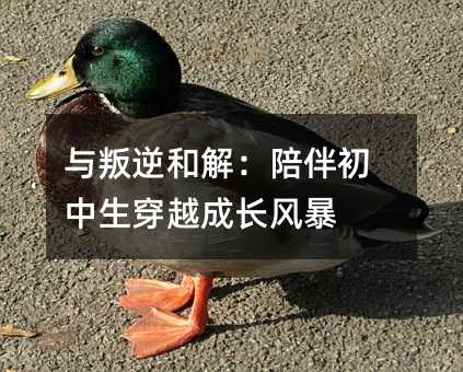 與叛逆和解:陪伴初中生穿越成長風(fēng)暴