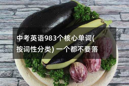 �п�Ӣ�Z983�����Ć��~(���~�Է��) һ������Ҫ���£�