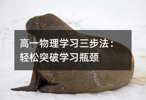 高一物理學習三步法:輕松突破學習瓶頸