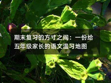 期末復(fù)習(xí)的方寸之間:一份給五年級(jí)家長(zhǎng)的語文溫習(xí)地圖