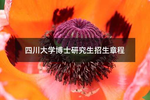 四川大學(xué)博士研究生招生章程