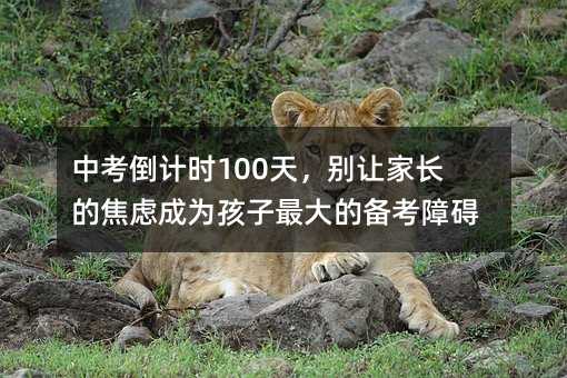 中考倒計時100天,別讓家長的焦慮成為孩子最大的備考障礙