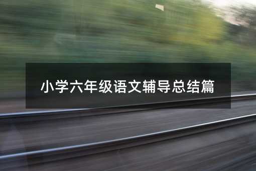小學六年級語文輔導總結篇
