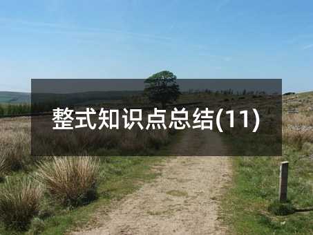 整式知識點總結(11)