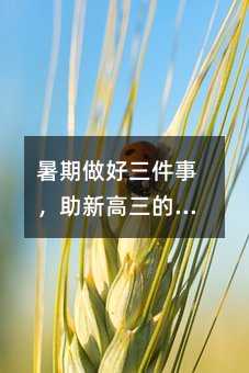 �������������£����¸���������D��