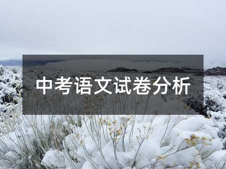 中考語文試卷分析