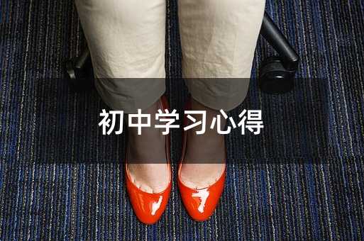 初中學(xué)習(xí)心得