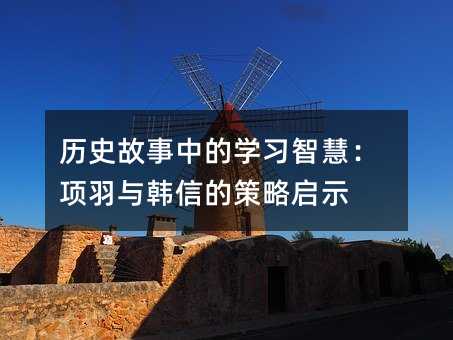 �vʷ�����еČW(xu��)��(x��)�ǻۣ��(xi��ng)���c�n�ŵĲ��Ԇ�ʾ