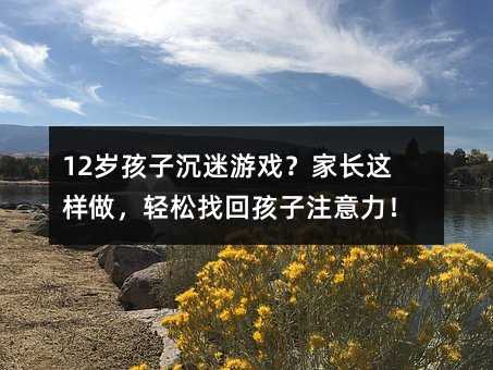 12歲孩子沉迷游戲?家長這樣做,輕松找回孩子注意力!