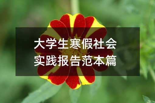 大學生寒假社會實踐報告范本篇