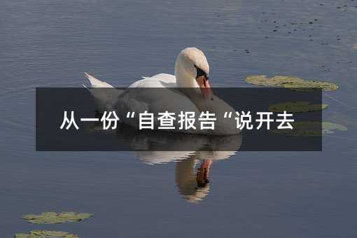 ��һ�ݡ��Բ��桰�f�_ȥ