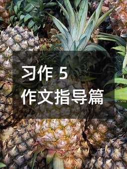 ���� 5 ����ָ��ƪ