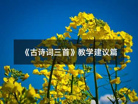 ����Ԋ(sh��)�~���ס��̌W(xu��)���hƪ