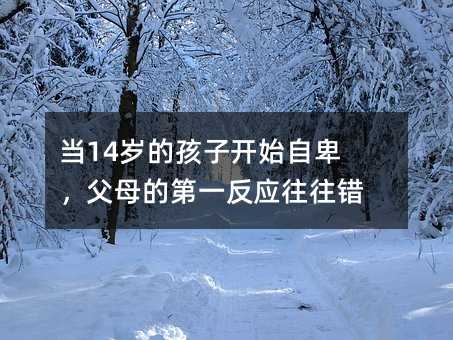 當14歲的孩子開始自卑,父母的第一反應往往錯了