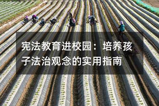 憲法教育進校園:培養孩子法治觀念的實用指南