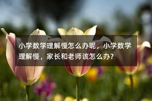 С�W���W��������ô�k�أ�С�W���W�����������L���ώ�ԓ��ô�k��