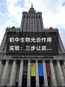 �������������Ì�򞣺����׌���Ӑ��ϿƌW̽��