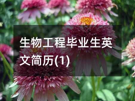 ���﹤�̮��I(y��)��Ӣ�ĺ�(ji��n)�v(1)