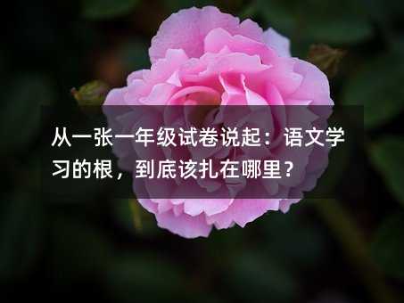 從一張一年級試卷說起:語文學習的根,到底該扎在哪里?