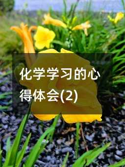 化學學習的心得體會(2)