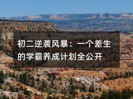 初二逆襲風(fēng)暴:一個(gè)差生的學(xué)霸養(yǎng)成計(jì)劃全公開(kāi)