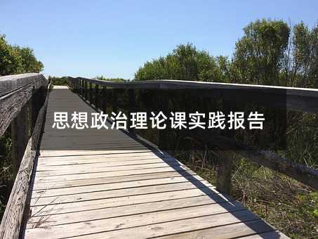 思想政治理論課實踐報告