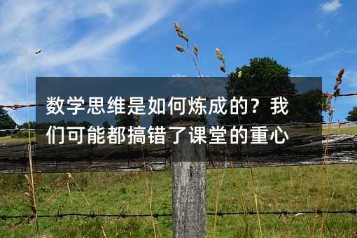 數學思維是如何煉成的?我們可能都搞錯了課堂的重心