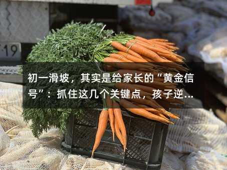 ��һ���£��䌍�ǽo���L�ġ��S����̖����ץס�@�ׂ��P�I�c���������L���P