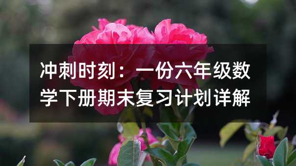 沖刺時刻:一份六年級數學下冊期末復習計劃詳解