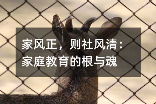 家風正,則社風清:家庭教育的根與魂