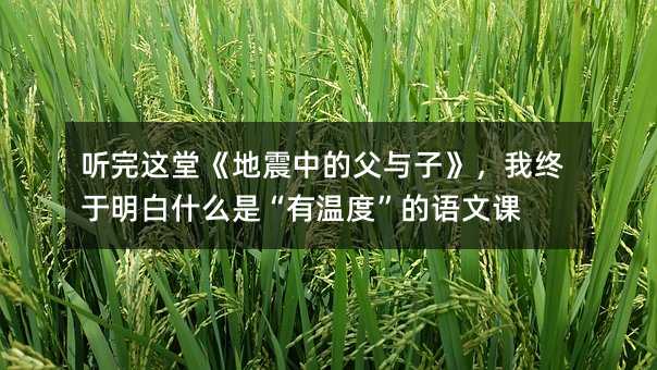 聽完這堂《地震中的父與子》,我終于明白什么是“有溫度”的語文課