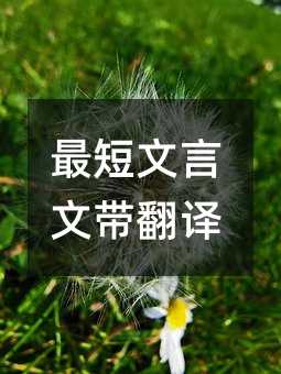 ��������Ď����g