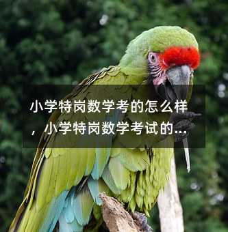 С�W(xu��)�؍���(sh��)�W(xu��)������ô�ӣ�С�W(xu��)�؍���(sh��)�W(xu��)��ԇ�ı��F(xi��n)��Σ�