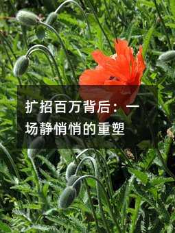 擴招百萬背后:一場靜悄悄的重塑