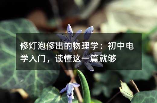 �ޟ����޳�������W������늌W���T���x���@һƪ�͉�