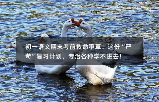 ��һ�Z����ĩ��ǰ�������ݣ��@�ݡ�����������Ӌ�������θ��N�W���Mȥ��