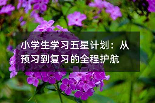 小學生學習五星計劃:從預習到復習的全程護航