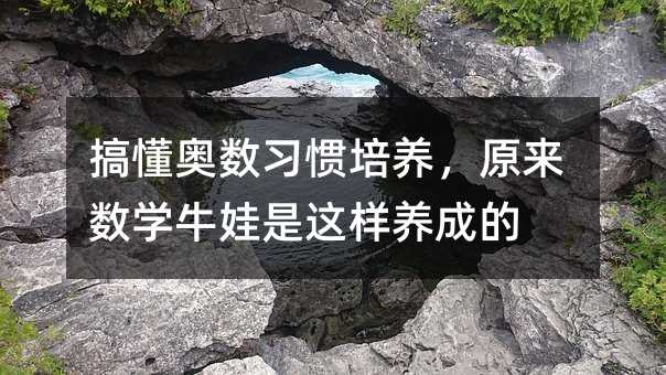 搞懂奧數習慣培養,原來數學牛娃是這樣養成的