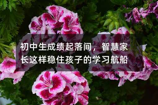 初中生成績(jī)起落間,智慧家長(zhǎng)這樣穩(wěn)住孩子的學(xué)習(xí)航船