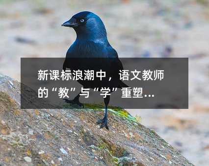 新課標浪潮中,語文教師的“教”與“學”重塑之旅