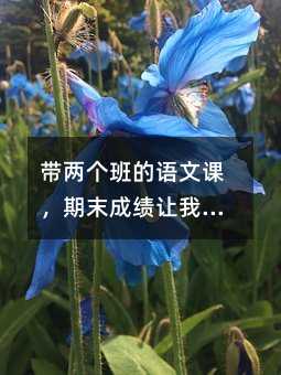 帶兩個班的語文課,期末成績讓我愧疚,卻也讓我看清了教育的真相