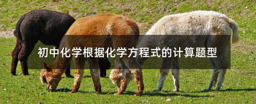 ���л��W�������W����ʽ��Ӌ���}��