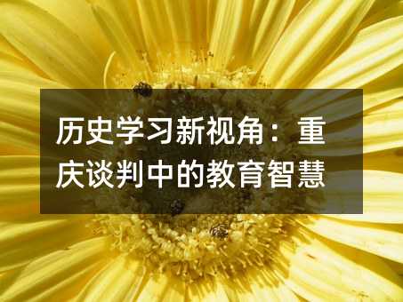 歷史學(xué)習(xí)新視角:重慶談判中的教育智慧
