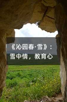 《沁園春·雪》:雪中情,教育心