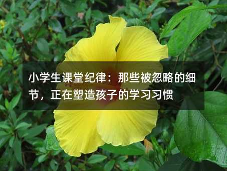 小學生課堂紀律:那些被忽略的細節,正在塑造孩子的學習習慣