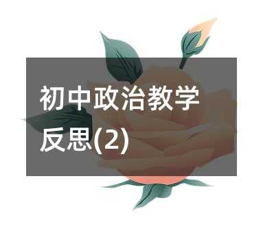 初中政治教學反思(2)
