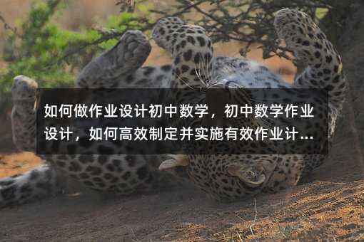 如何做作業設計初中數學,初中數學作業設計,如何高效制定并實施有效作業計劃?